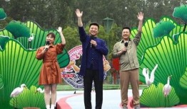 和田饭店爆料视频最新版,揭秘事件真相与幕后黑幕