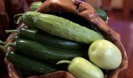 各种吃瓜网红视频,跟随镜头探秘热门视频背后的故事